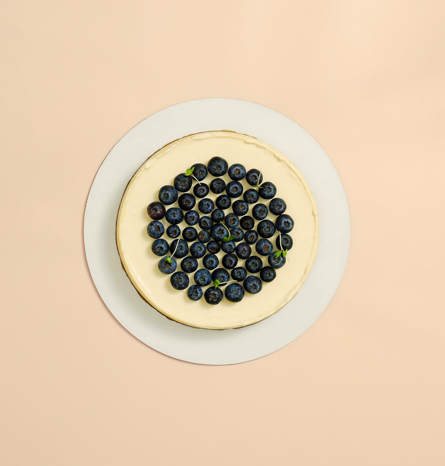 Fresh Blueberry Cheesecake